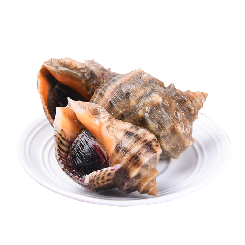 电脑三国杀全武将修改版