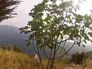 新葡亰appV9.1专业版