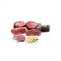 sdy体育登录V3.6专业版