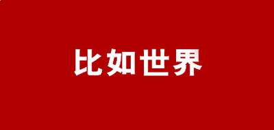 bob雷速appV1.2专业版