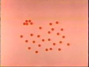 lm体育appV7.3专业版