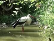 灵魂筹码2025最新版游戏主界面与模式选择