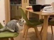 菠菜娱乐V8.6专业版