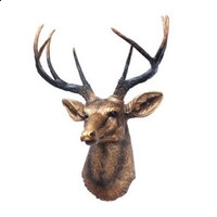 小南娱乐app安卓版二维码