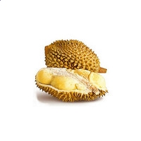 威斯人游戏入口V6.1专业版