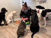 battery monitor(笔记本电池监控)