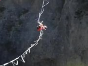 爱练字硬笔书法