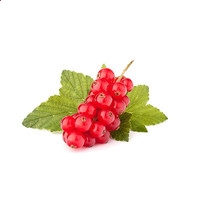 凯时AGappV3.8专业版