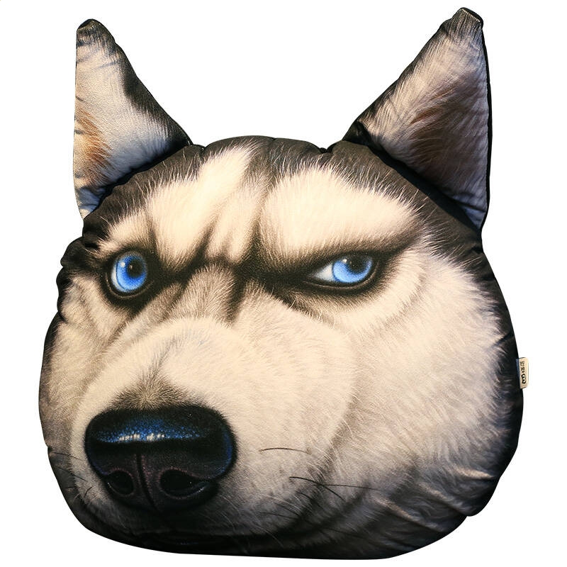 九游appV1.1专业版