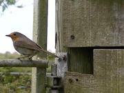 河南汽车维修平台APP