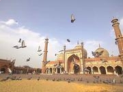 照片exif信息批量修改器最新免费版