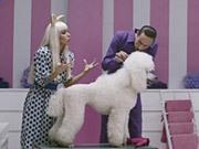 优胜客体育投注