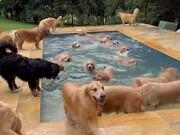 汇彩网官网V9.6专业版