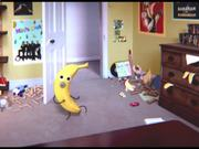 99彩票appV3.1专业版