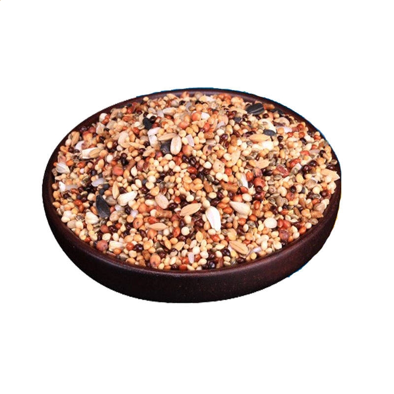 吸血鬼：托德和杰西卡的故事