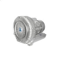 骷髅女孩苹果版