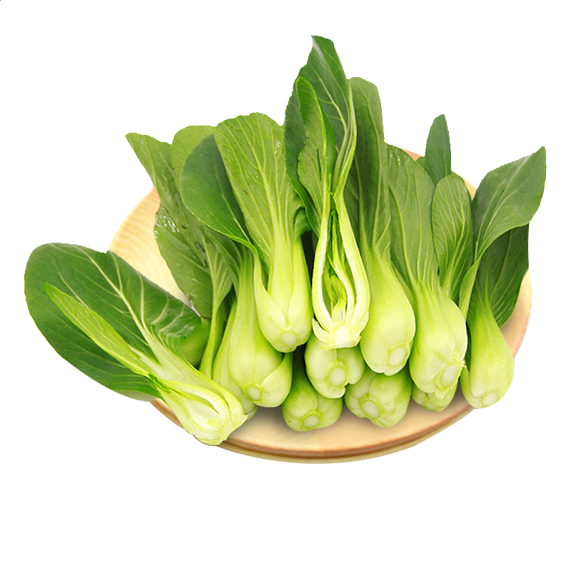 乐动体育投注入口V3.1专业版