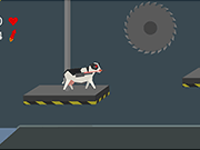 皇家守卫军1.13中文无敌版