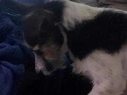 河南汽车维修平台APP