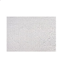 photomark中文版(图片批量加水印)