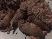 云开体育app官方下载苹果版V8.1专业版