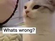 皇都国际注册V7.6专业版