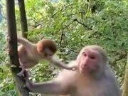 cntv中国网络电视台tv版(央视影音)