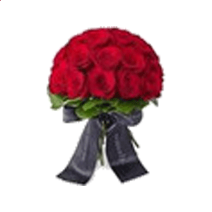 mkapp安卓版二维码