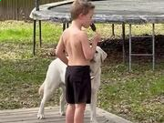 威尼尼斯app2025最新版战斗画面