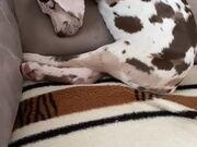 image tuner图片批量处理软件