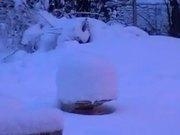 射手影音播放器前卫版