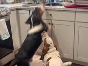 汉鼎简特粗黑字体