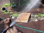 在线买球盘口官网