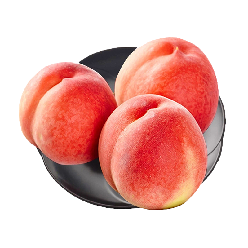 爱奇艺视频老版本