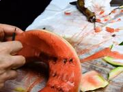 澳门赌场入口V5.2专业版