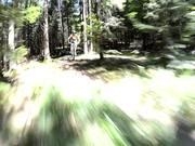 BG真人appV7.5专业版