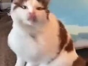 竞博体育软件下载2025最新版团队合作救援场景