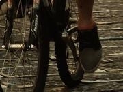 kaiyun官网入口V4.3专业版