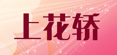 宝马appV1.9专业版