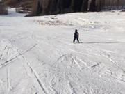 兴发xf881娱乐V9.9专业版