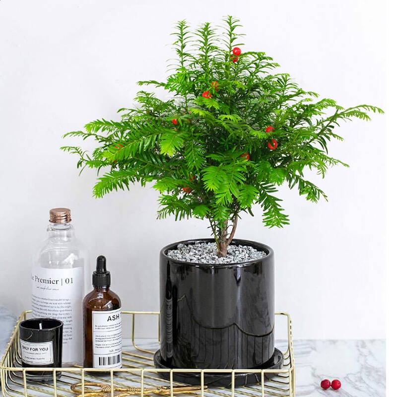 河南汽车维修平台APP