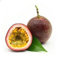 kaiyun官网手机登录入口V7.9专业版