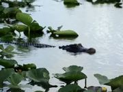 开云在线官方入口V4.9专业版