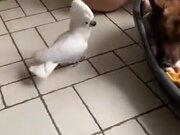 无线网卡万能驱动