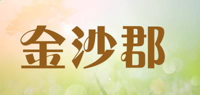 snagit中文版(抓图工具)