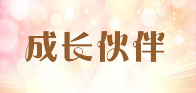 BurnAware PRO中文版