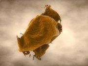 彩运网官网V6.1专业版