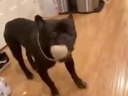 BET356入口V5.4专业版