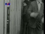 云顶贵宾会官网安卓版二维码