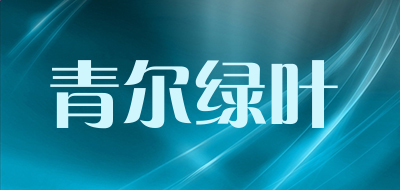 河南汽车维修平台APP